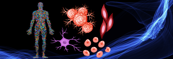 Mastering Single Cell RNA-seq Analysis