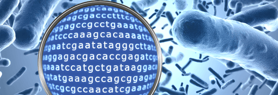 Applied Metagenomics Analysis Program