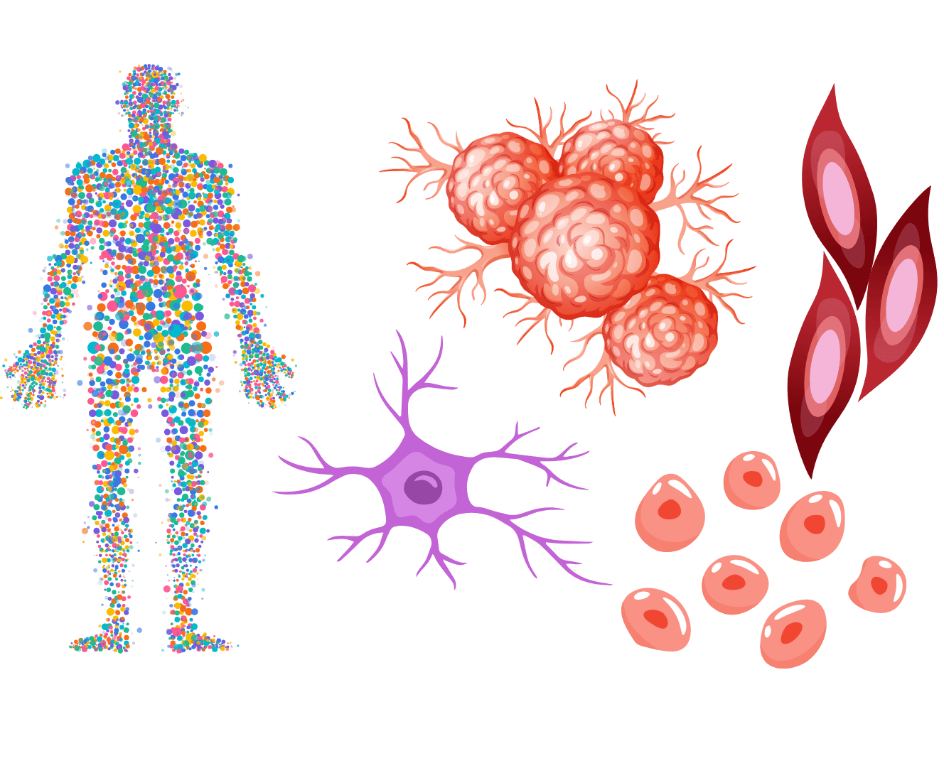 Single Cell RNA Sequencing